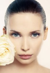 Model Aline #33421