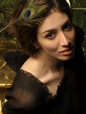 Model Niloofar