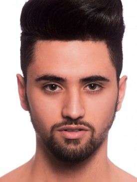 Model Schibli