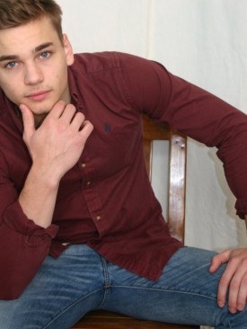 Model Janik